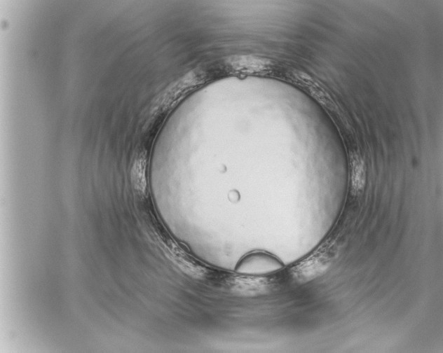 X0000059850666200511111812