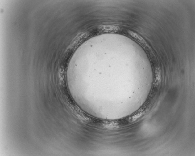 X0000059850667200511111812