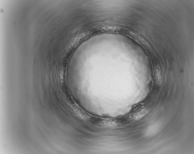 X0000059850668200511111812