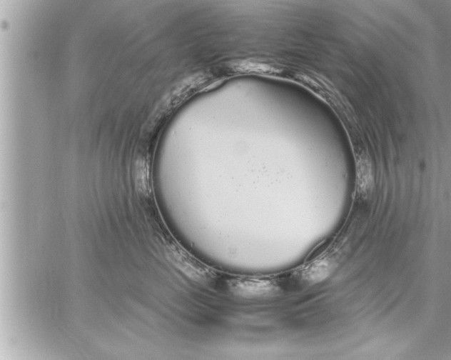 X0000059850669200511111812