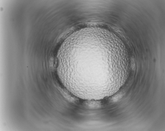 X0000059850670200511111812