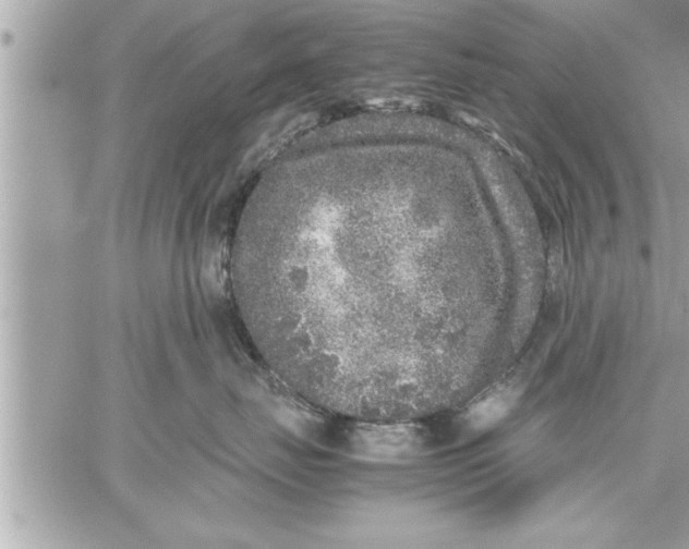 X0000059850671200511111812