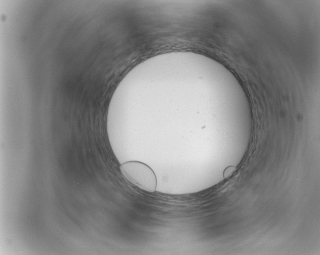 X0000059850672200511111812