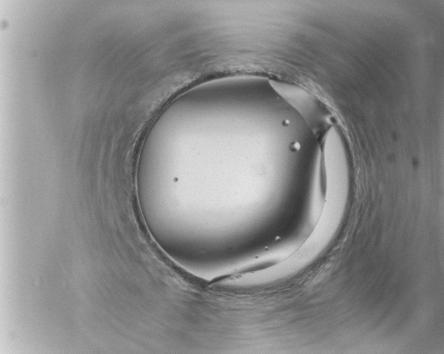 X0000059850673200511111812