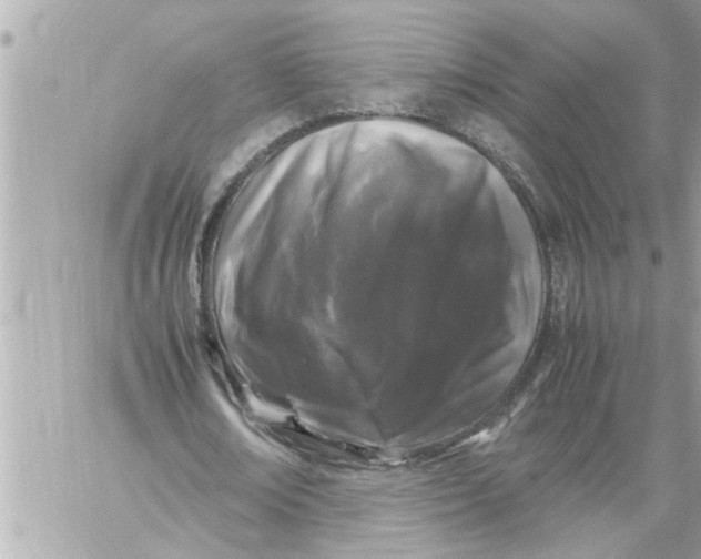 X0000059850674200511111812