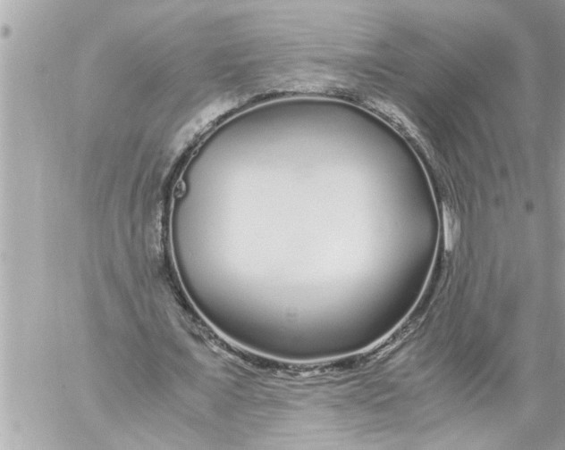 X0000059850675200511111812