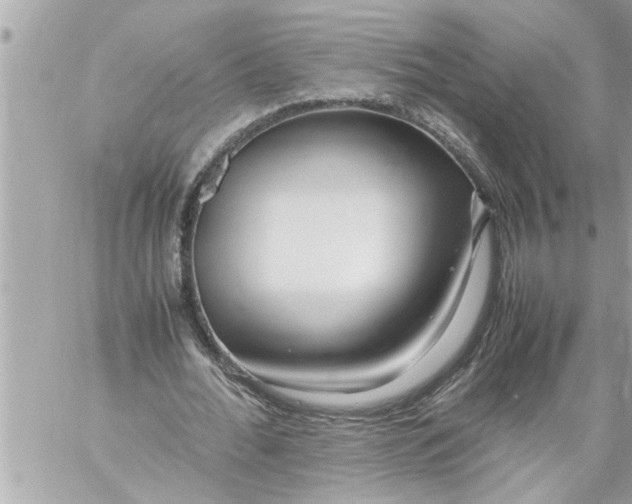 X0000059850676200511111812