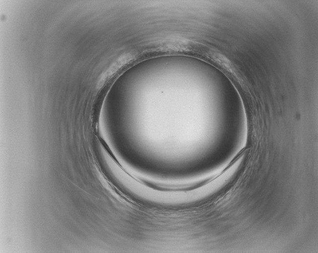 X0000059850677200511111812