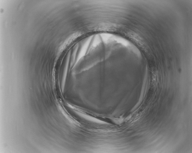 X0000059850678200511111812