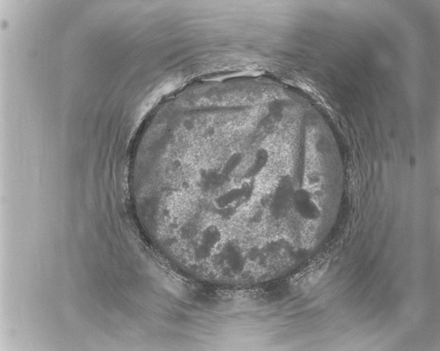 X0000059850679200511111812