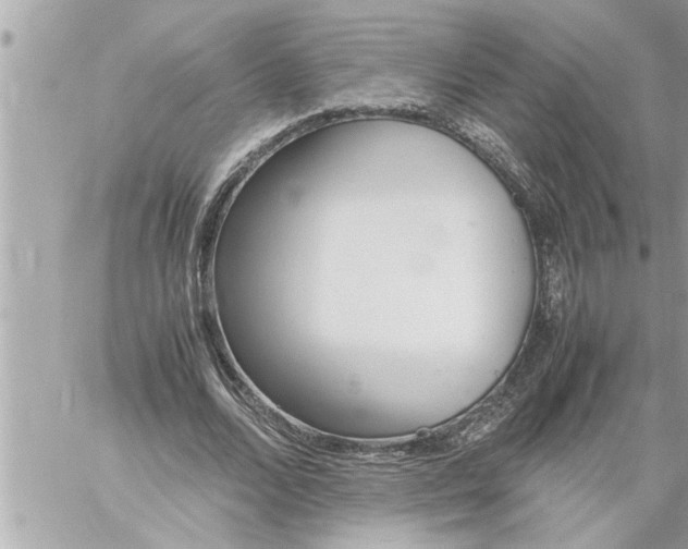 X0000059850680200511111812