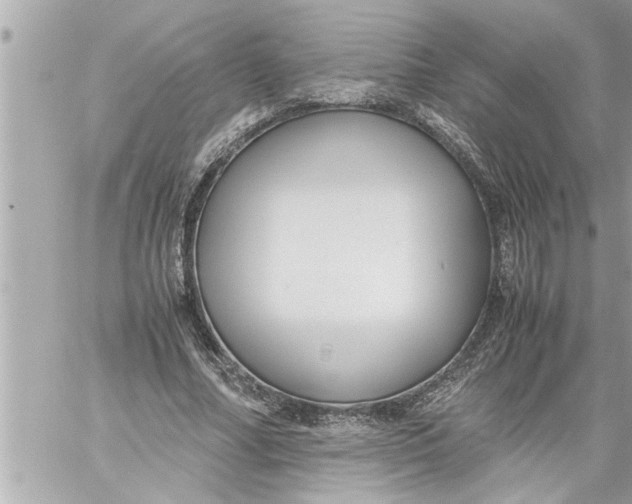 X0000059850682200511111811