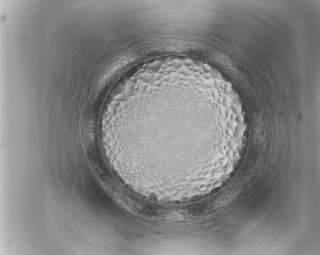 X0000059850683200511111811