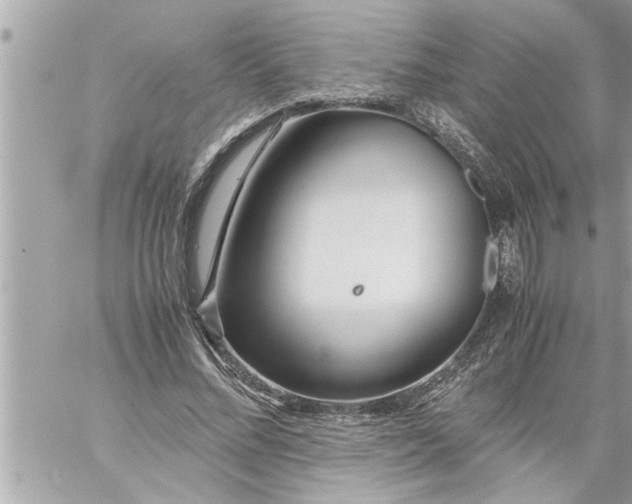 X0000059850684200511111811