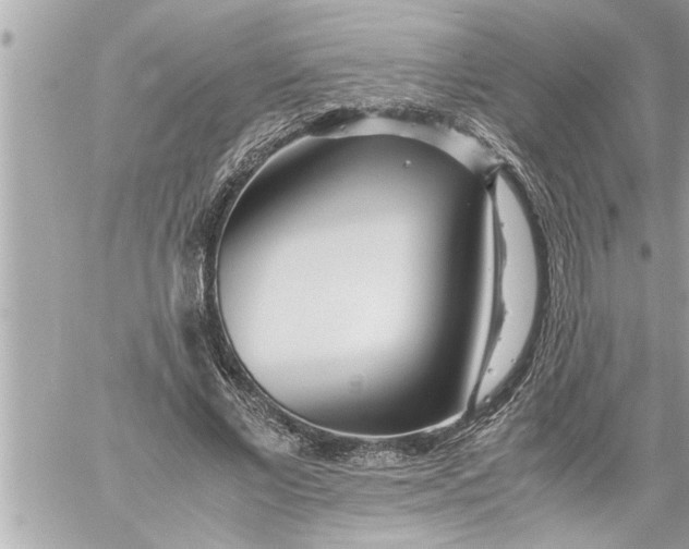 X0000059850685200511111811