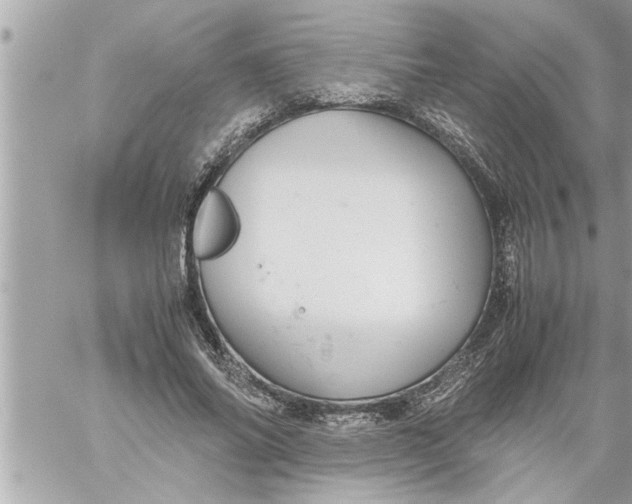 X0000059850686200511111811