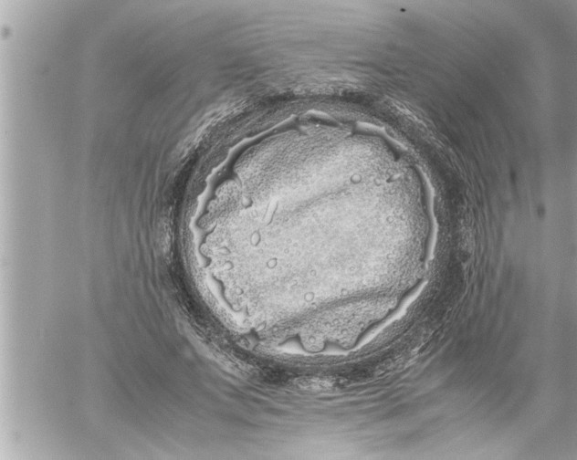 X0000059850687200511111811