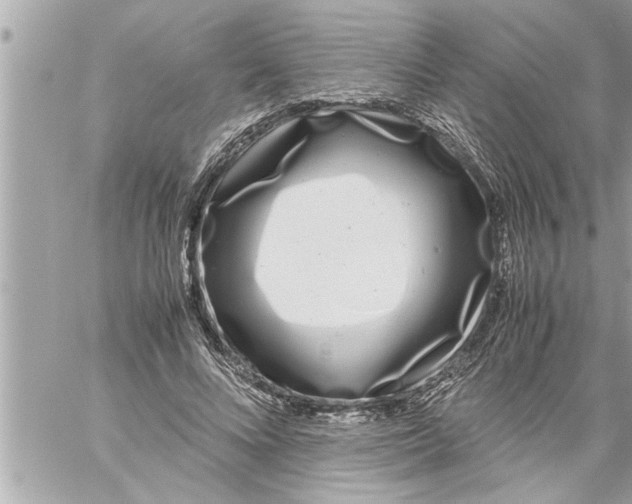 X0000059850688200511111811