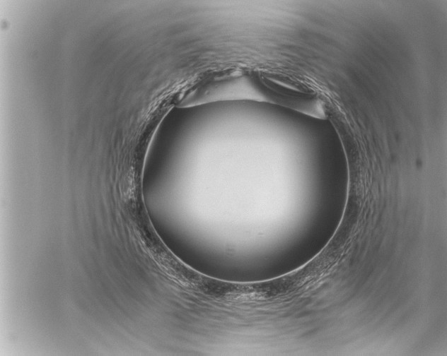 X0000059850689200511111811