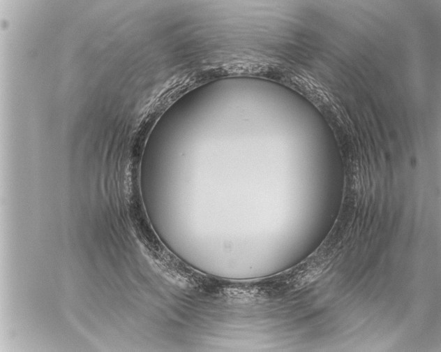 X0000059850690200511111811