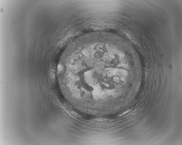 X0000059850691200511111811