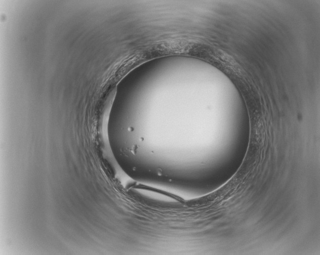 X0000059850693200511111811