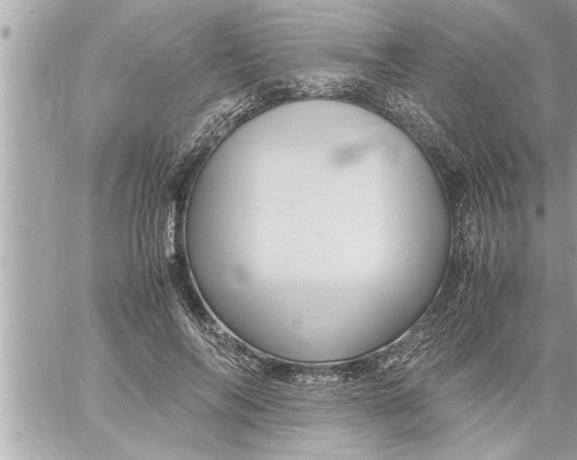 X0000059850694200511111811