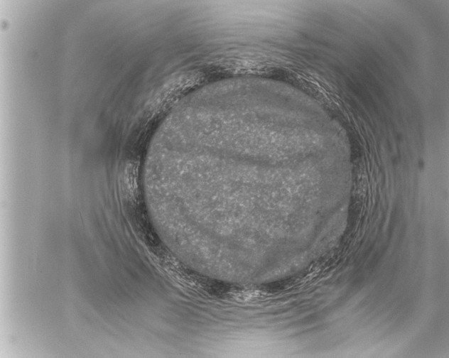 X0000059850695200511111811