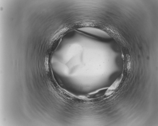 X0000059850696200511111811