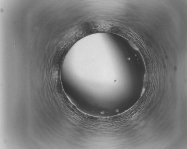 X0000059850697200511111811