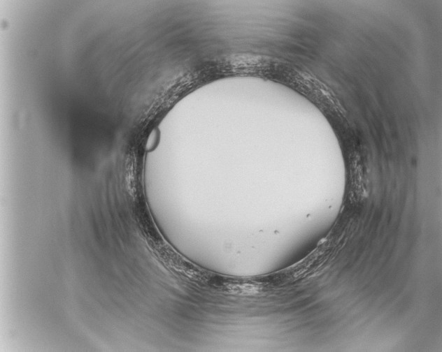 X0000059850698200511111811