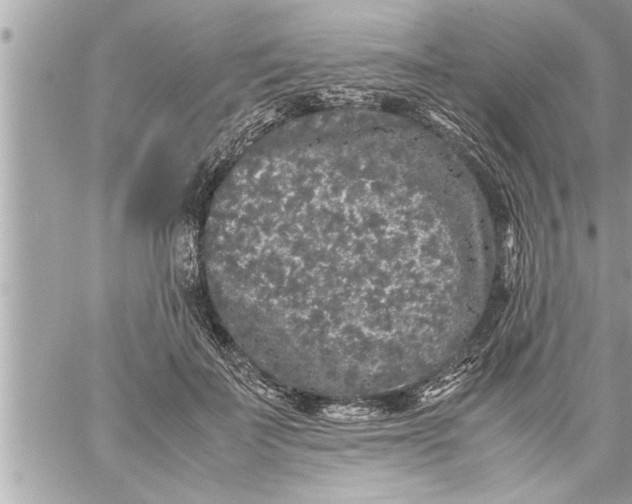 X0000059850699200511111811