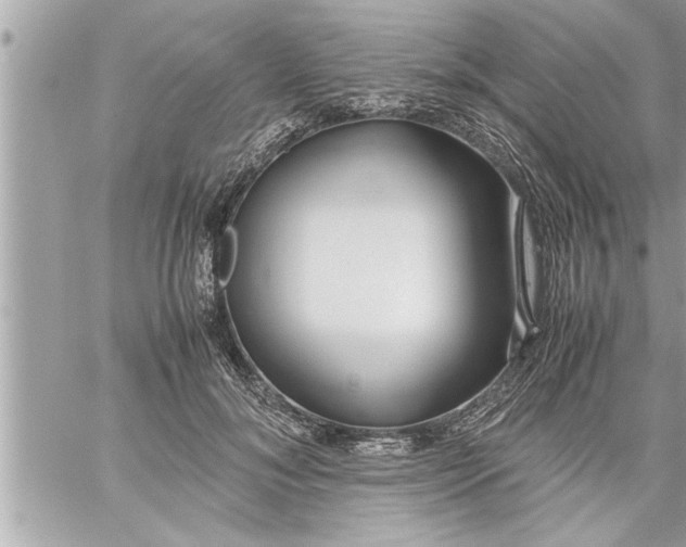 X0000059850700200511111811