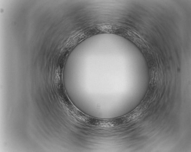 X0000059850702200511111811