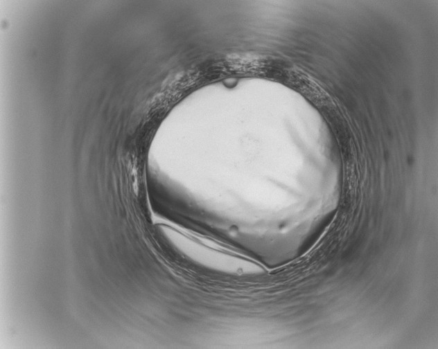 X0000059850703200511111811