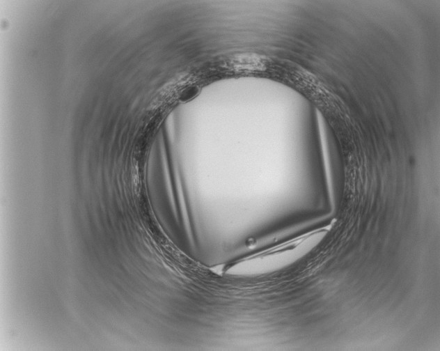 X0000059850704200511111811