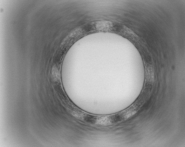 X0000059850705200511111811