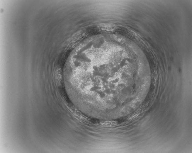 X0000059850707200511111811