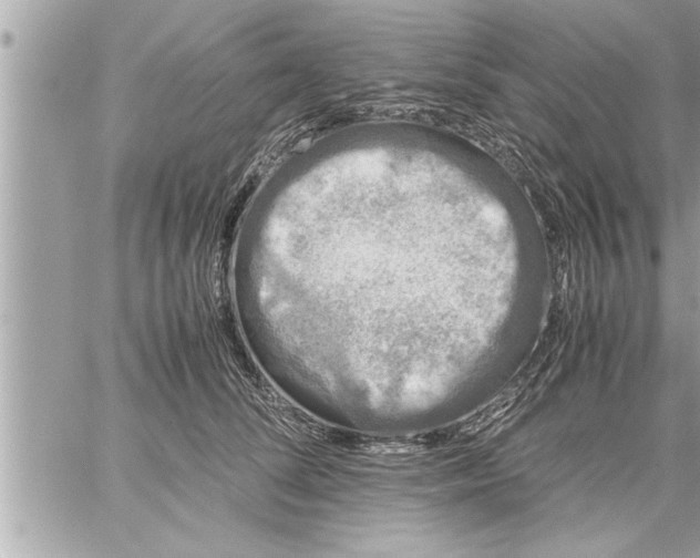 X0000059850708200511111811