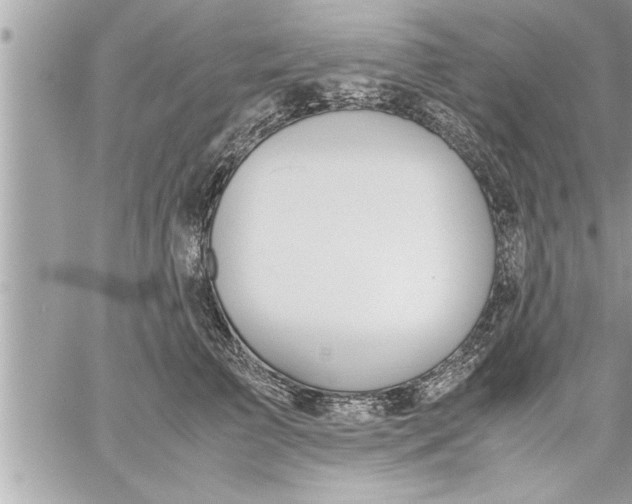 X0000059850709200511111811