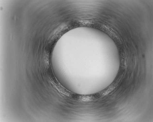 X0000059850710200511111811