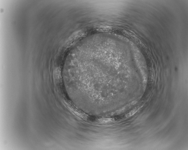 X0000059850711200511111811