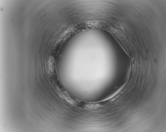 X0000059850712200511111811