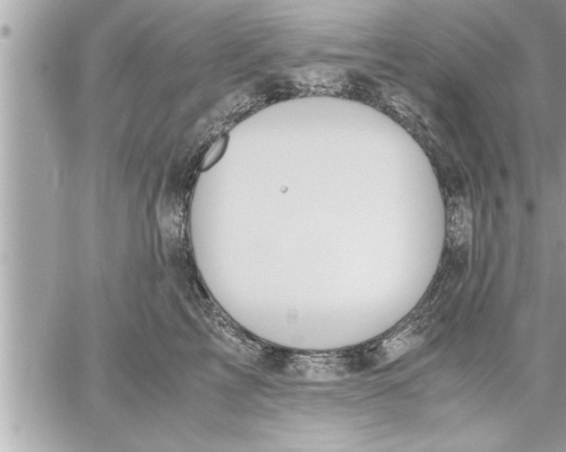 X0000059850713200511111811