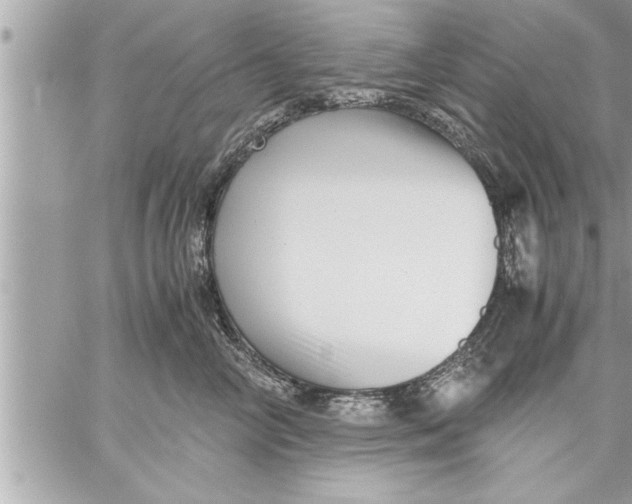 X0000059850714200511111811