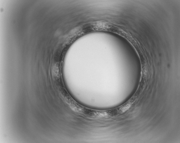 X0000059850715200511111811