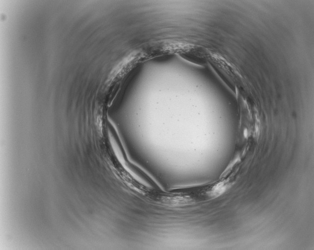 X0000059850716200511111811