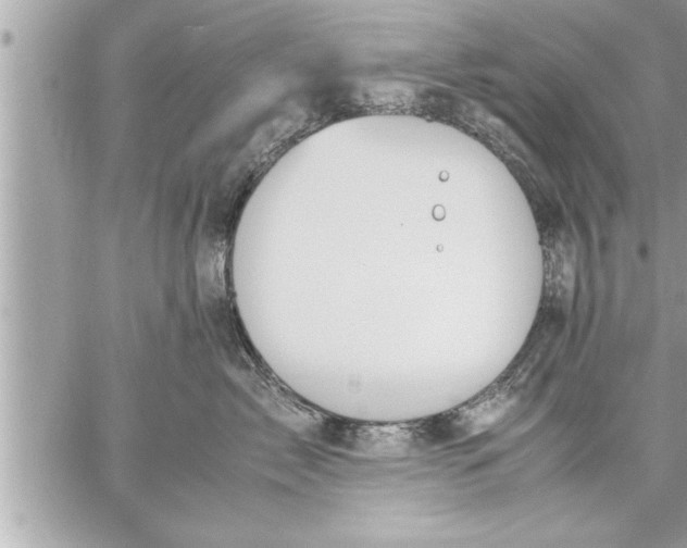 X0000059850717200511111811