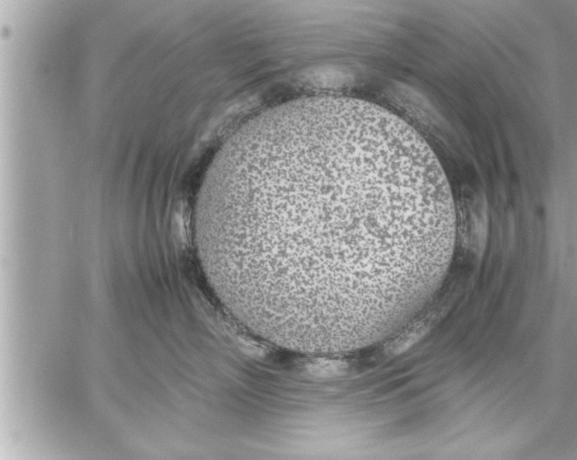 X0000059850718200511111811