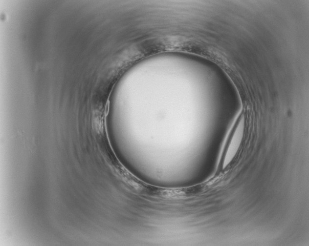 X0000059850719200511111811